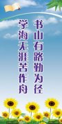 食品分类明细表(kaiyun官方网站28大类食品归类明细表)